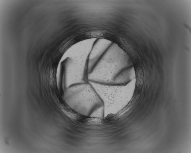 X0000097780140200804041222