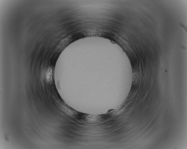 X0000097780142200804041222