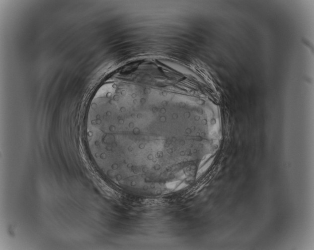 X0000097780145200804041221