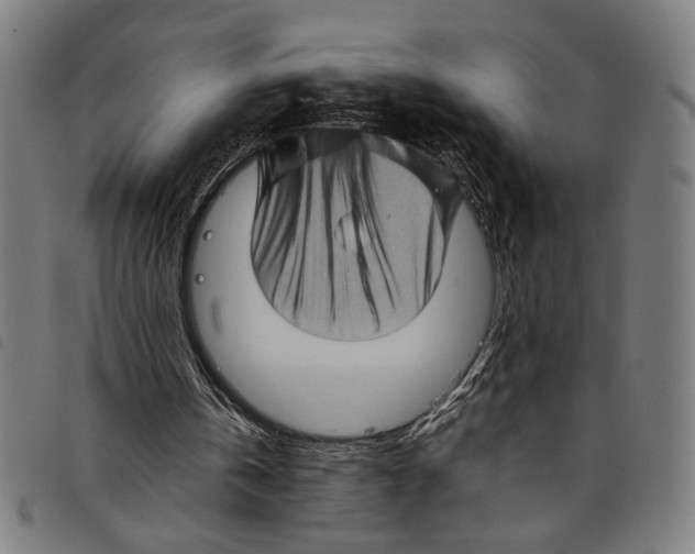 X0000097780146200804041221