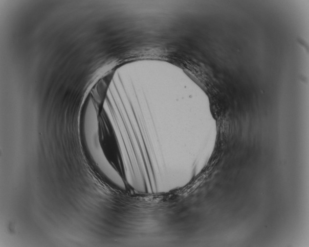 X0000097780148200804041221