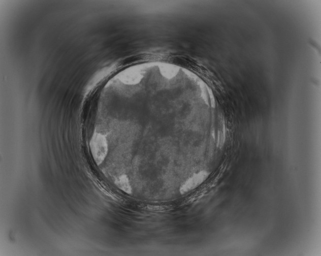 X0000097780149200804041221