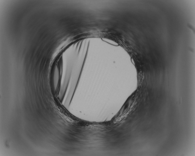 X0000097780150200804041221