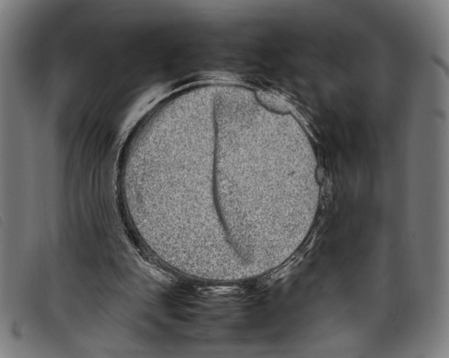 X0000097780151200804041221