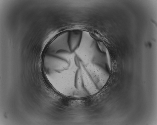 X0000097780152200804041221