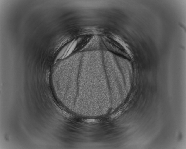 X0000097780153200804041221