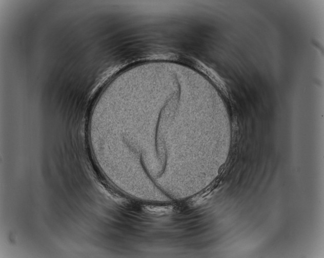 X0000097780155200804041221