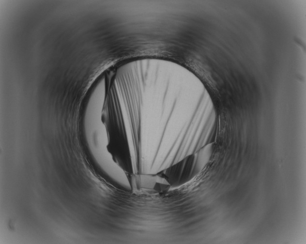 X0000097780156200804041221