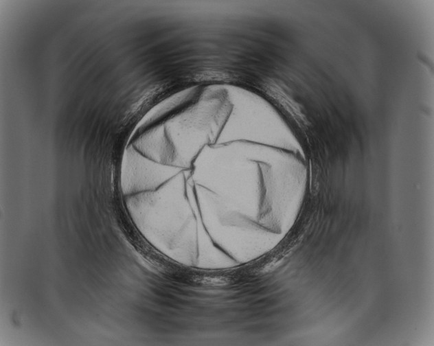 X0000097780157200804041221