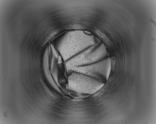 X0000097780158200804041221