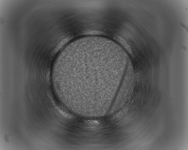 X0000097780159200804041221