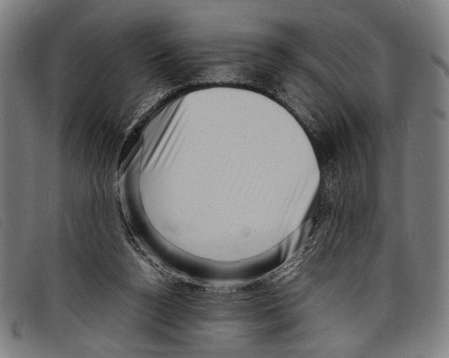 X0000097780160200804041221