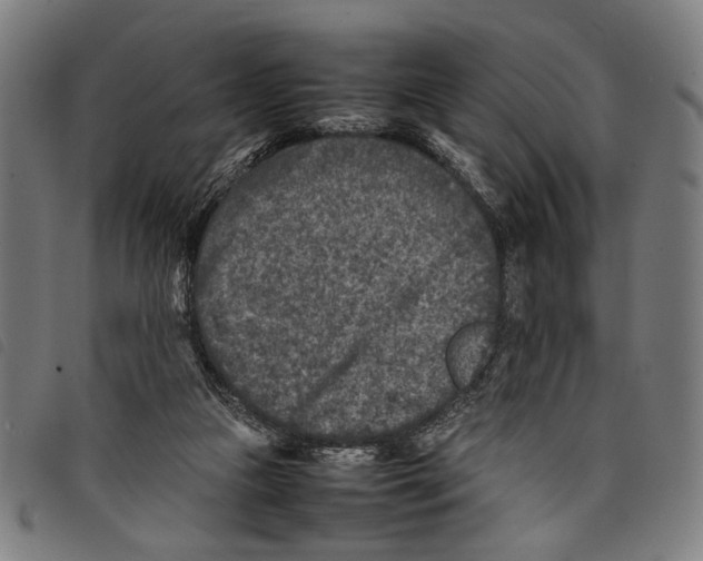 X0000097780161200804041221