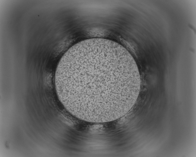 X0000097780162200804041221