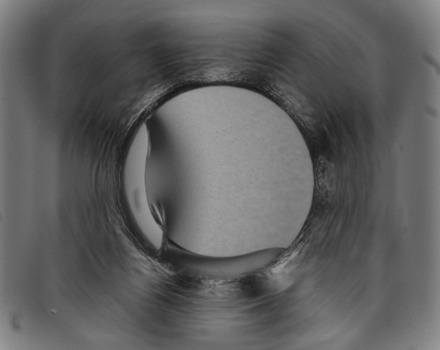 X0000097780164200804041221