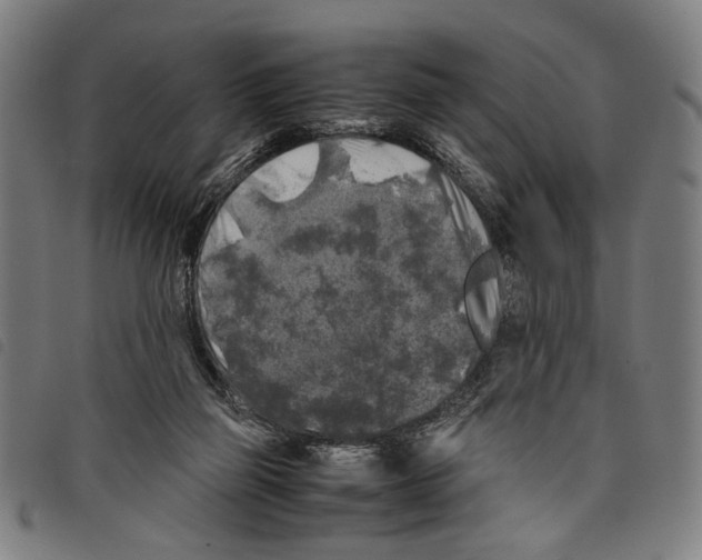 X0000097780165200804041221