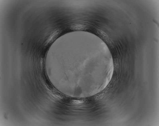 X0000097780167200804041221