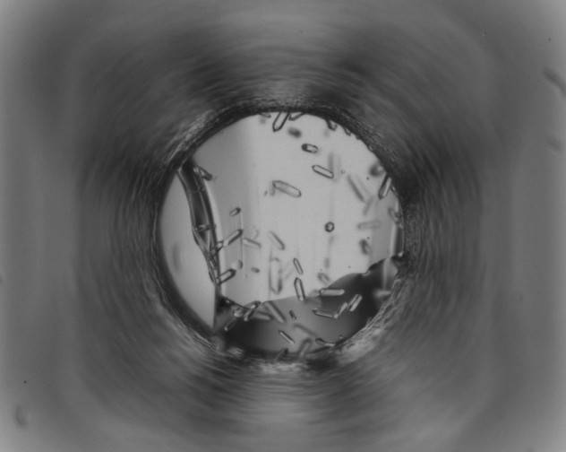 X0000097780168200804041221