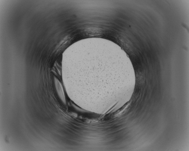 X0000097780170200804041221