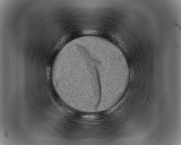 X0000097780171200804041221