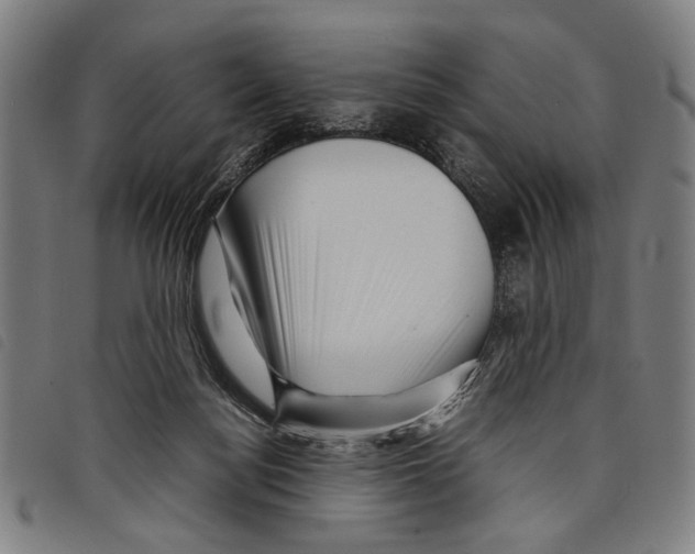 X0000097780172200804041221