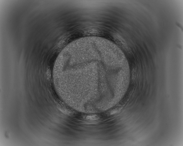 X0000097780173200804041221