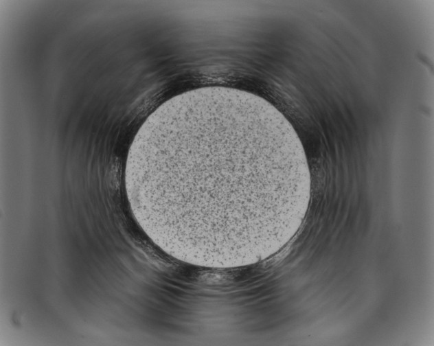 X0000097780174200804041221