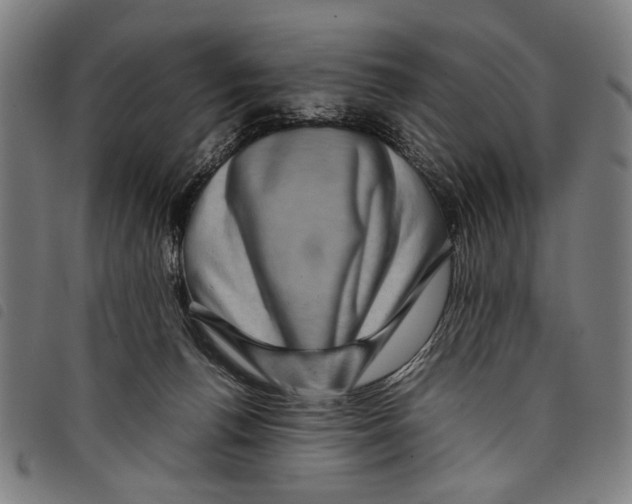 X0000097780176200804041221