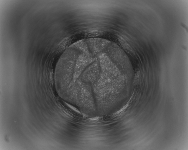 X0000097780178200804041222