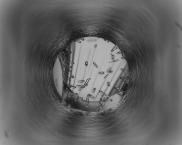 X0000097780180200804041222