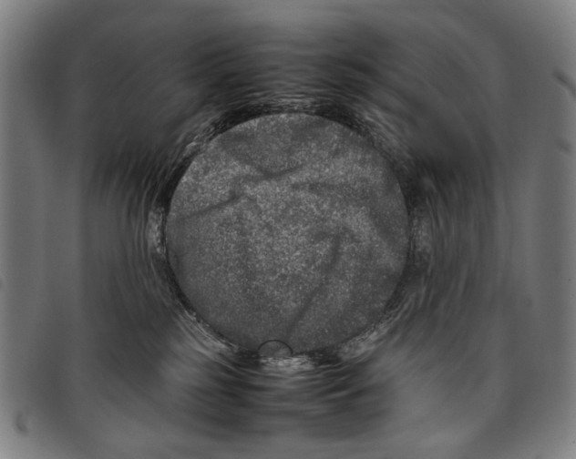 X0000097780185200804041222