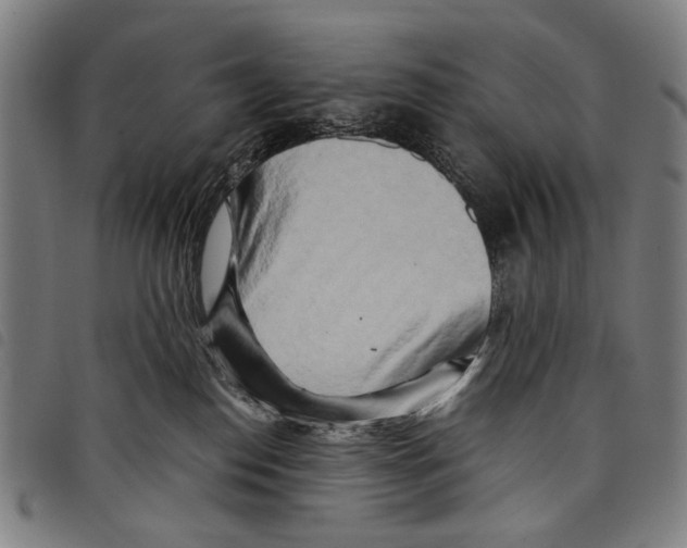 X0000097780186200804041222