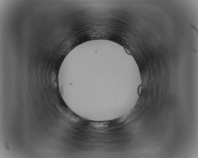 X0000097780187200804041222