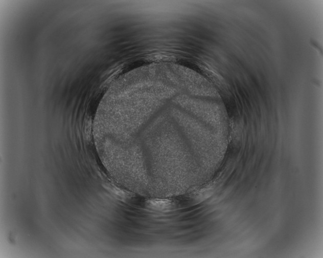 X0000097780189200804041222