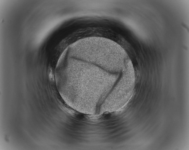 X0000097780191200804041222