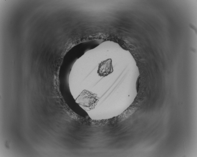 X0000097780192200804041222