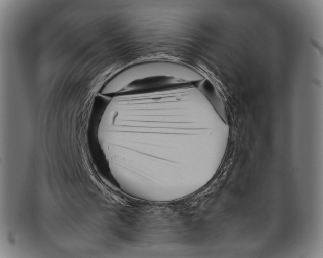 X0000097780193200804041221