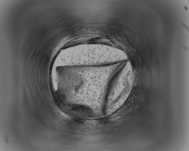 X0000097780195200804041221