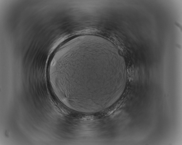 X0000097780196200804041221