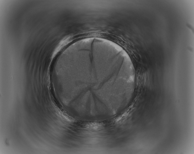 X0000097780198200804041221