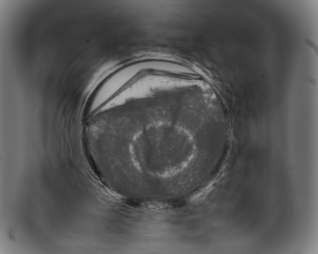 X0000097780199200804041221