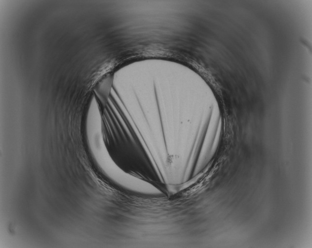 X0000097780201200804041221