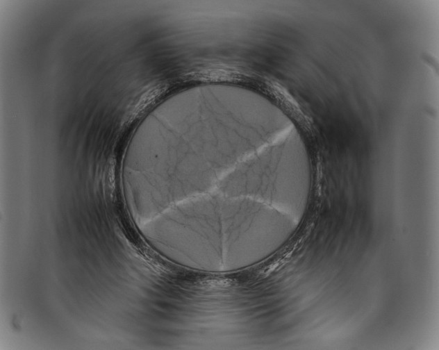 X0000097780202200804041221