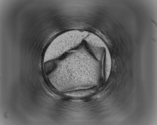 X0000097780203200804041221