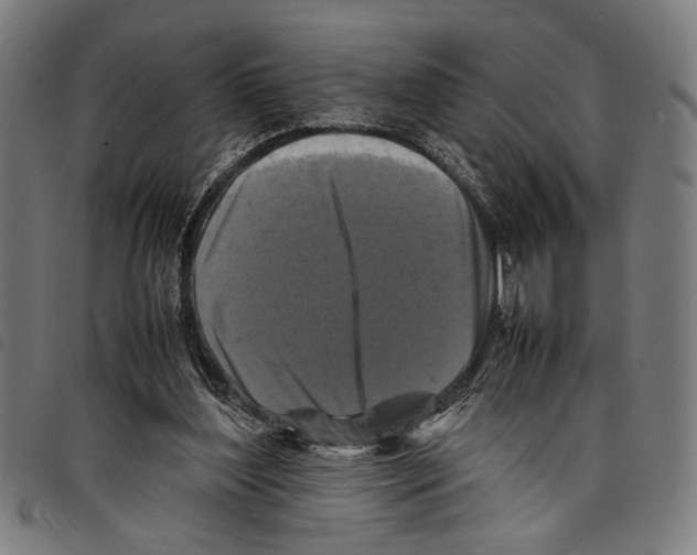 X0000097780204200804041221