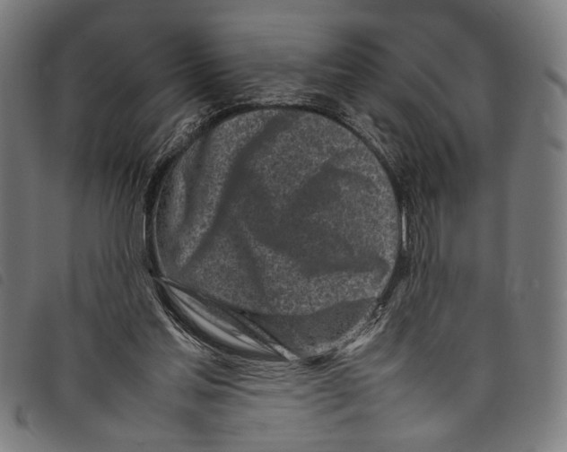 X0000097780205200804041221