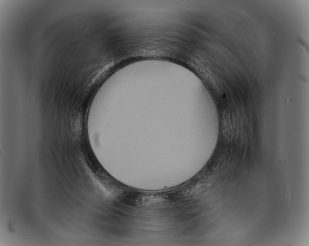 X0000097780208200804041221