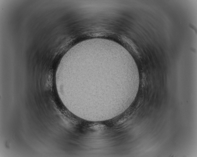 X0000097780210200804041221