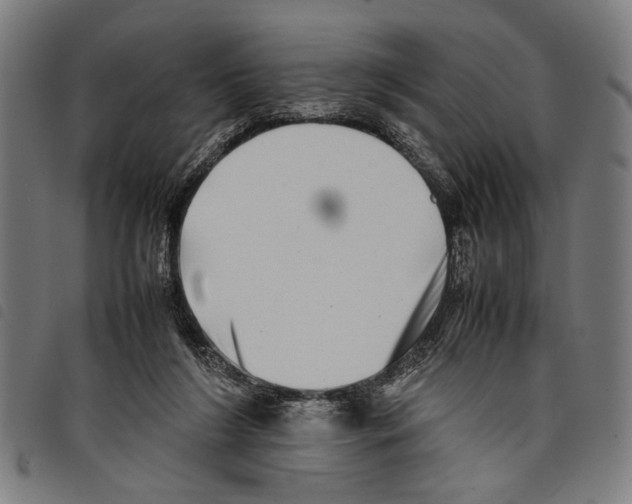 X0000097780212200804041221