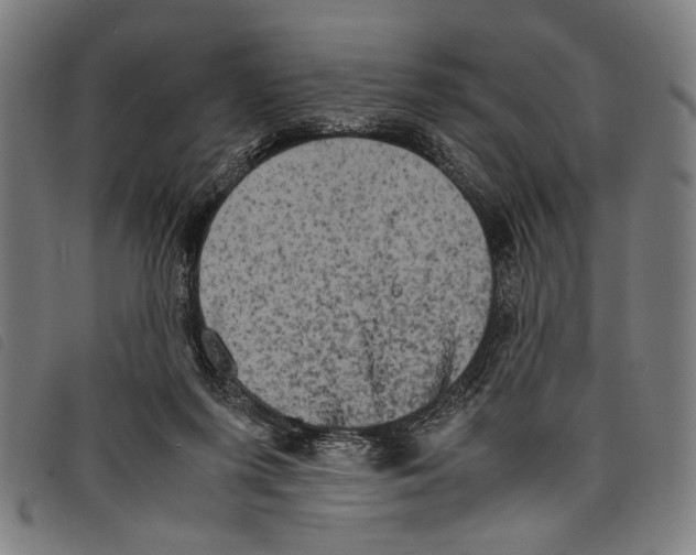 X0000097780215200804041221